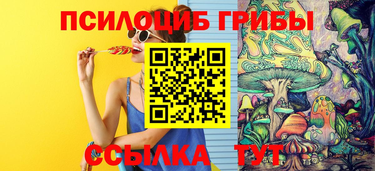Псилоцибиновые грибы Magic Shrooms Гурьевск